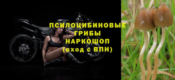 молекула духа Липки