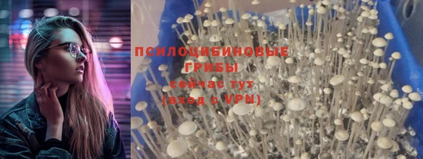 стафф Алагир